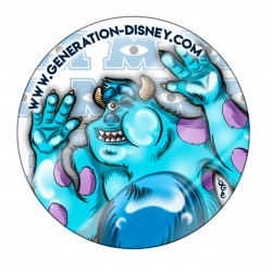 Badge Collection n°29 Sully...